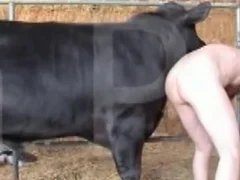Animal Toplist Zoo Sex Porn
