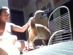 Blowjob animal xxx