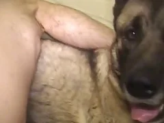 Dog Bestiality