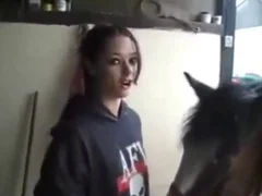 Pony animal sex