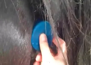 Dirty Asshole Fisting Scene with a Mare Zoo Sex animal sex