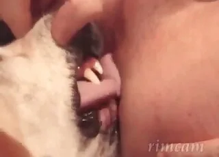 Hot dog tastes juicy ass in this short clip