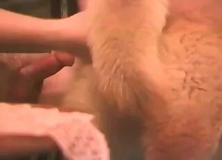 Handsome man jerking off to a sexy dog in front of the camera