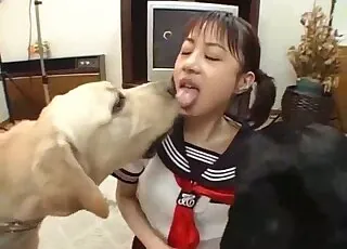 Stunning zoophile sucking farm animal dick