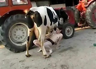 Beautiful Cow Farm Animal Sex Scene - Real Zoo Sex with Cattle