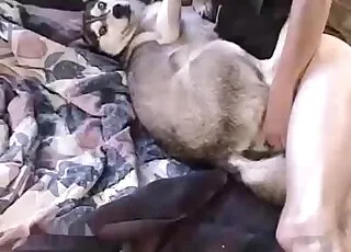 Hot Pet Enjoys Hardcore Fuck In Zoo Video