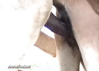 ديدان قذرة فيديو زو بورنو ساخن