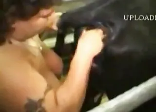 Happy cow takes a big fuck in the barn - raw zoo sex with livestock