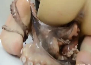 Crazy Octopus Sex Action With Sweet Beauty