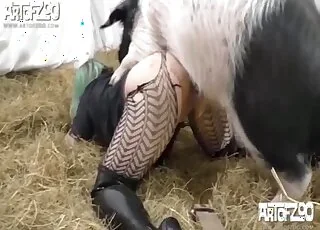 Hairy Blonde Lady Gets Hardcore Sex With A Pig