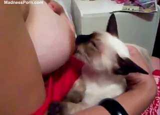 Busty kitty enjoys deep breast worship session