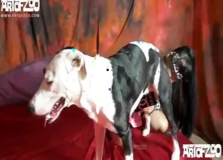 Masked Hottie Sex with Animal in HD Zoo animal sex