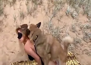 Cute Zoo Hottie Gets Deeply Fucked From Behind by Big Animal Cock