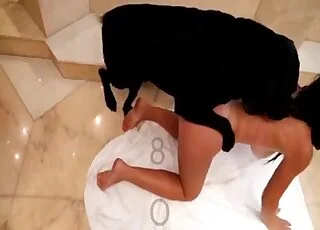 Hot Housewife Dogs Kitchen Floor Sex Zoo animal sex Animal Pet Fidelity