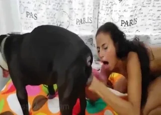 Xiomara getting her pussy fucked by three dogs in a horny zoo sex scene