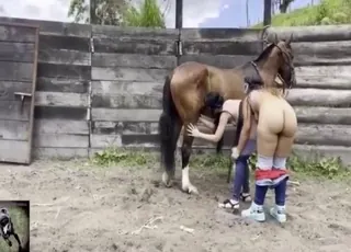 Sweet girl gets help from a horse zoo sex scene with animal