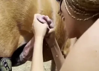 Blonde girl sucks horse cock in this zoo xxx movie