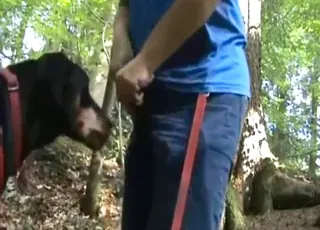 Hard-dicked dog fucks owner on walk home