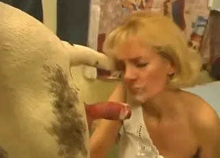 Hot bitches get a zoo animal gangbang with horse and cow