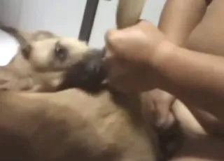 Chubby Guy Fucks Brown Dog Sideways - Real Zoo Sex Scene with Pet