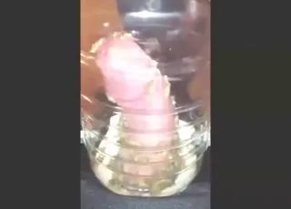 Sexy crickets in hot zoophile porn: animal sex with insects and zofilia action