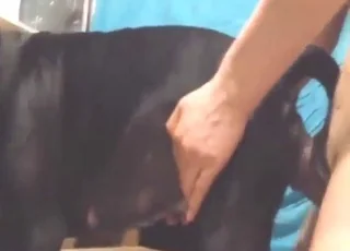 Resist the Urge to Fuck Your Dog: Zoo Sex, animal sex, Zoophilia, Animal Sex, Zofilia