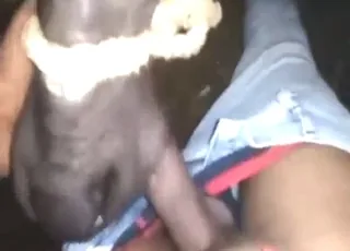 Happy Dude Gets Horse Blowjob: Real Zoo Sex Action