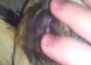 POV Sexy Beast Hard Finger Nipple and Pussy Play