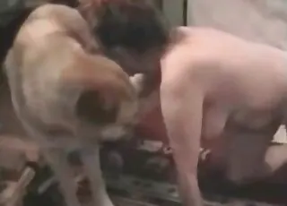 Dirty Doggo Gets Wild Home Movie Zoo Sex animal sex