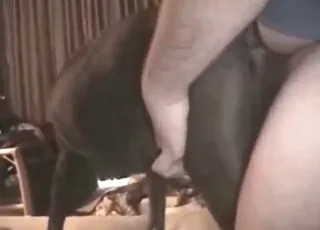 Hot Dog Fuck with Cumshot Wild Zoo Sex Scene with Animal