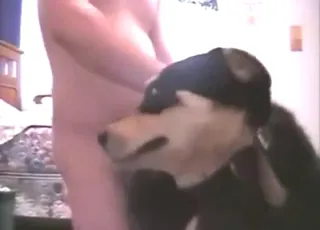 Horny Bitch Gets Double Pleasure From A Hard Dog Boner