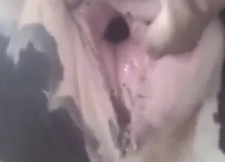 Zoo Sex Star Making Performance With Passionate Animal Orgasms