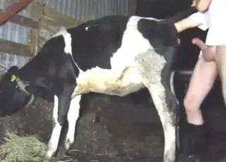 Hot sexy cow gets deep fisted by a handsome dude
