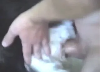 جماع الكلب بأسلوب دوجي ستايل بشغف