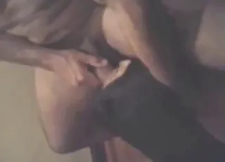 Horny Girl Fucks Submissive Female Dog With Full Force