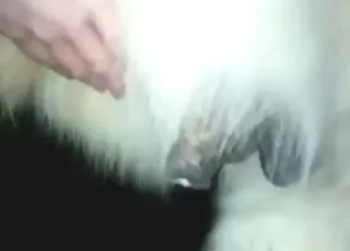 Hot Pony Dude Gets Sex With Two Male Ponies