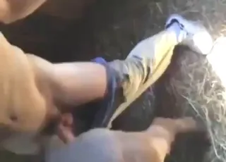 Farmer enjoys a sexy mare in the barn - hot zoo sex scene with beautiful horse