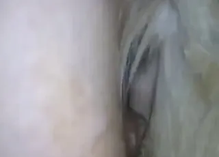 Passionate mare sex in zoo setting with deep thrusts