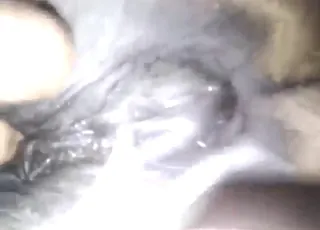 Close-up of a sexy mare enjoying deep fingered sex