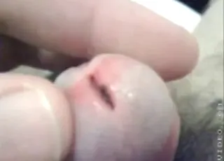 Nice Uncut Cock Ready for Ants in Cock Group