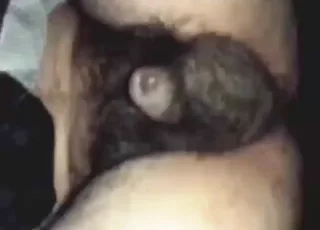 خنزير ضاري يزاوج رجلًا شغوفًا
