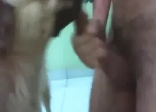 POV Dog Blows Hard Dick First Time Zoo Sex Scene