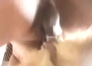 Dude Fucks His Dog Hard With A Nice Dick