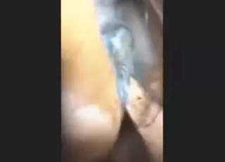 Steamy Mare Fisting Both Holes Simultaneously
