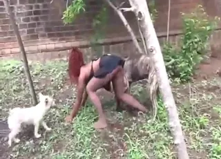 Aggressive Dogs Fuck Her For Therapy animal sex & Zoo Sex Scene