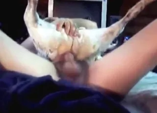 Tiny Dog Loves Anal Sex: Cute Puppy Gets Deep Throat from Big Stud in Wild Zoo Sex Scene