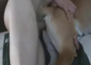 Brown Dog Gets Deep Throat From Horny Dude