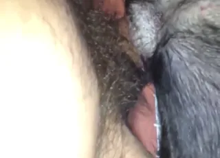 Seeding Happy Zoophile Fuck Beasts Cum Inside