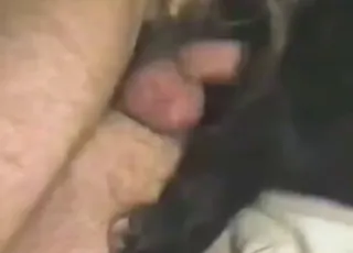 Happy Dude Gets Deep Dog Sex with Cumshot Finish