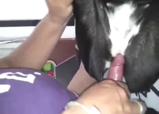 Dude Fucks Moaning Dog with Meaty Dong in Hot Zoo Sex Scene
